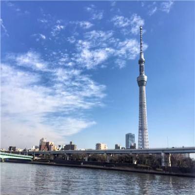 柚子小游戏盒免费下载安装